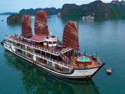 Du thuyền Orchid Hạ Long 2 ngày 1 đêm