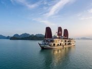 Du Thuyền Orchid Trendy 2 ngày 1 đêm