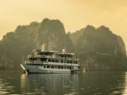 Du thuyền Swan 2 ngày 1 đêm